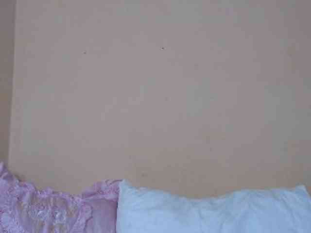 Rsylvie webcam