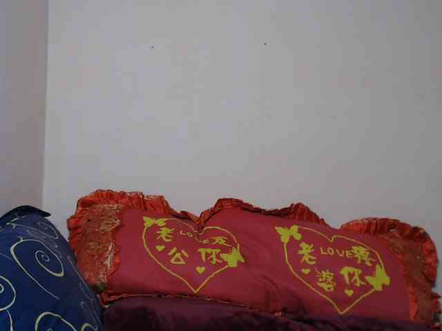 Rsylvie webcam