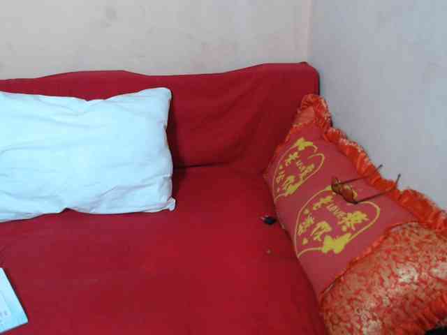 Rsylvie webcam