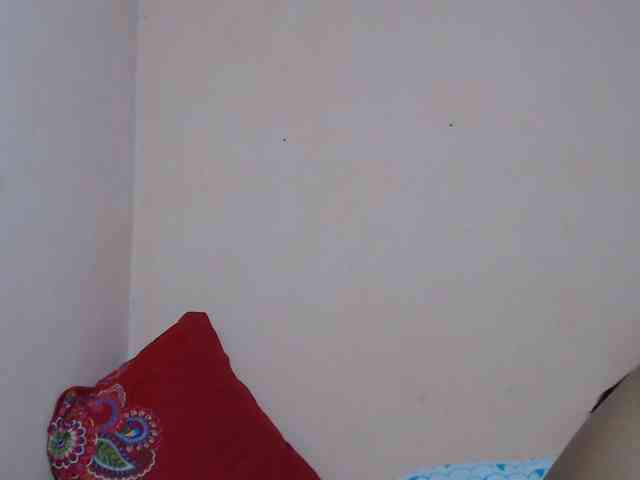 Rsylvie webcam