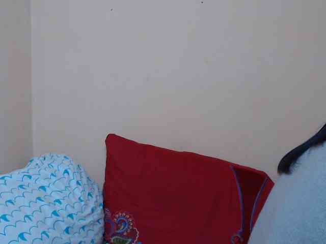 Rsylvie webcam