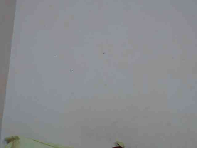 Rsylvie webcam