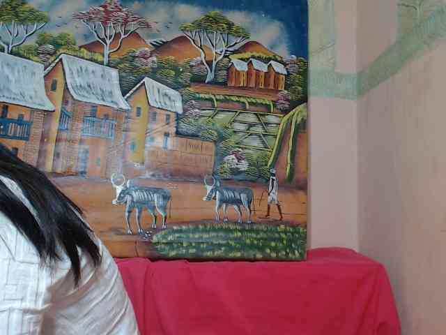 Rsylvie webcam