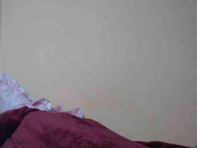 Rsylvie webcam