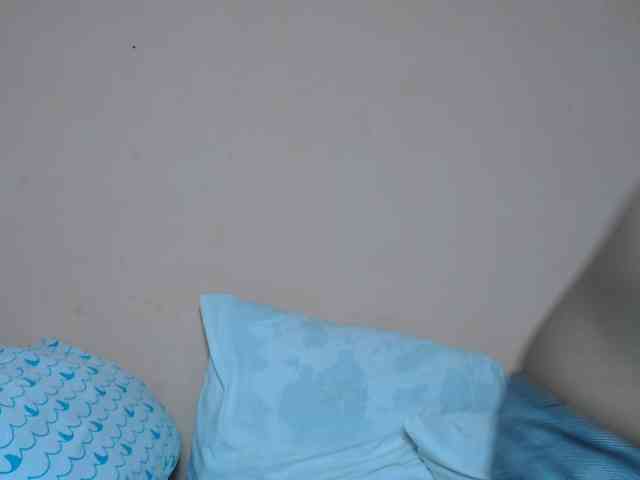 Rsylvie webcam