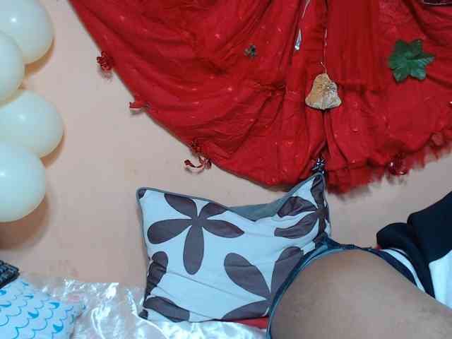 Rsylvie webcam