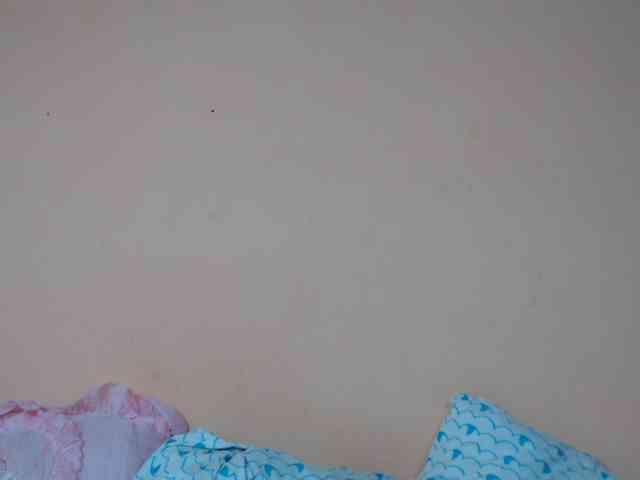 Rsylvie webcam