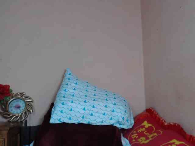 Rsylvie webcam