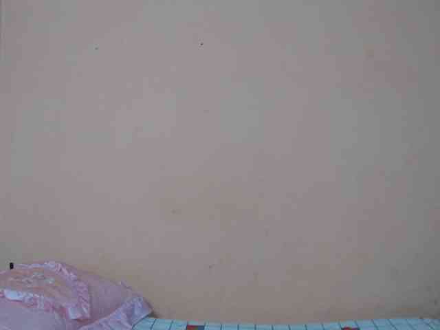 Rsylvie webcam