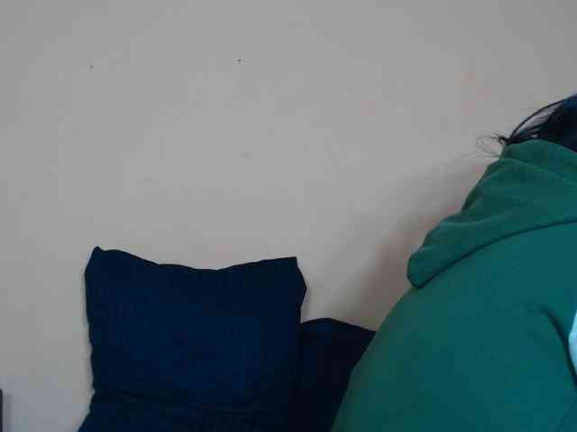 Rsylvie webcam