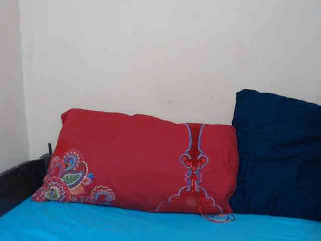Rsylvie webcam