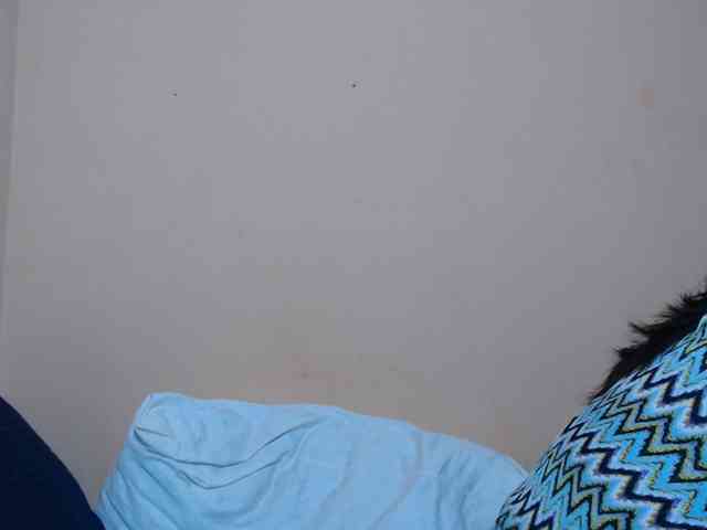 Rsylvie webcam