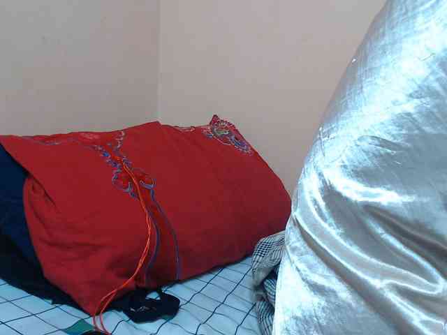 Rsylvie webcam