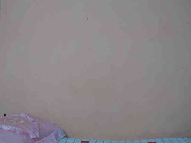 Rsylvie webcam