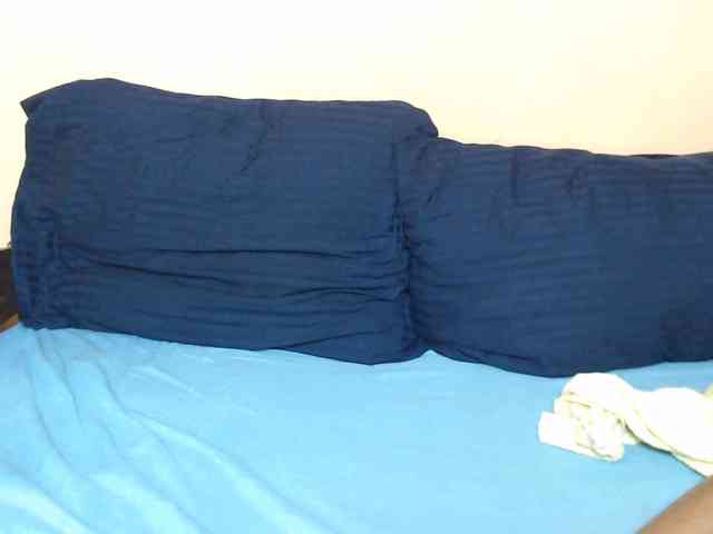 Rsylvie webcam