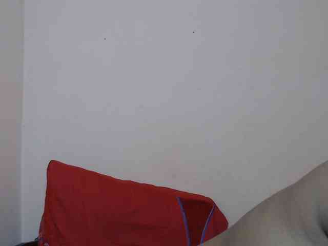 Rsylvie webcam