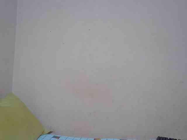 Rsylvie webcam