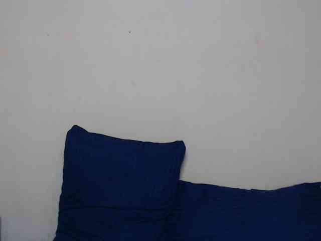 Rsylvie webcam