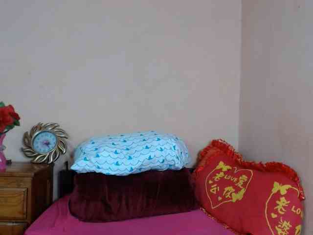 Rsylvie webcam