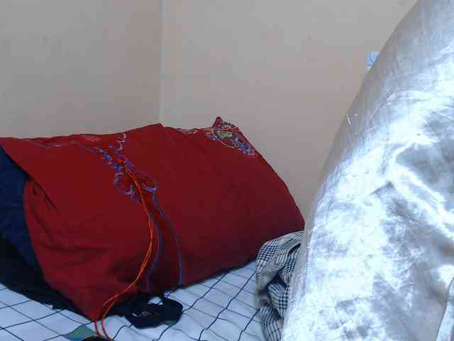 Rsylvie webcam