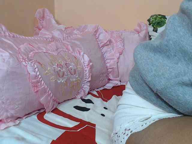 Rsylvie webcam