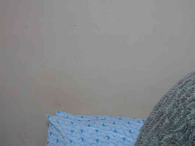 Rsylvie webcam