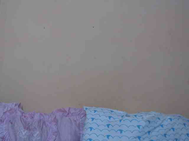 Rsylvie webcam