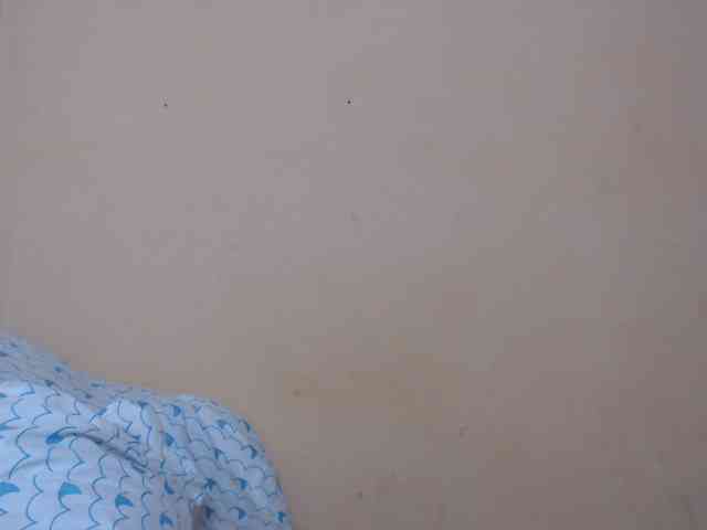 Rsylvie webcam