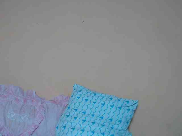 Rsylvie webcam