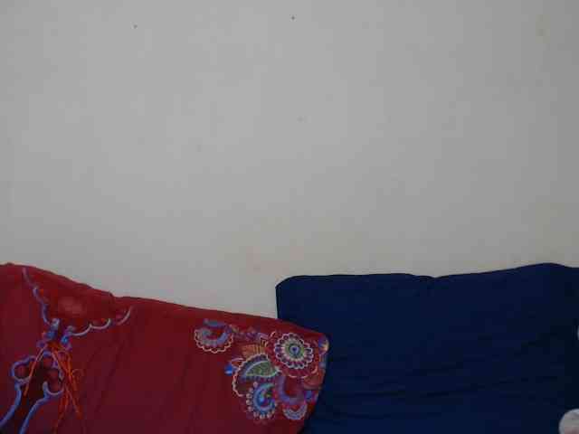 Rsylvie webcam