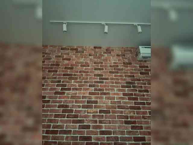 CateLong webcam