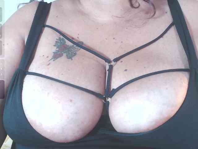 birdydavis69 webcam