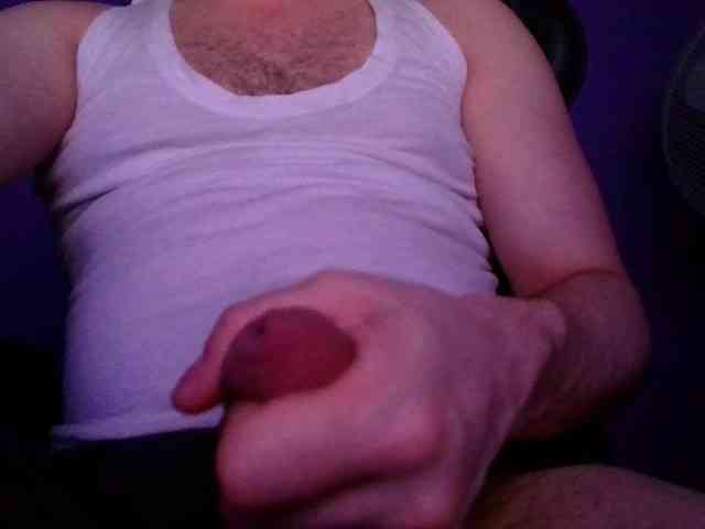 czechdick