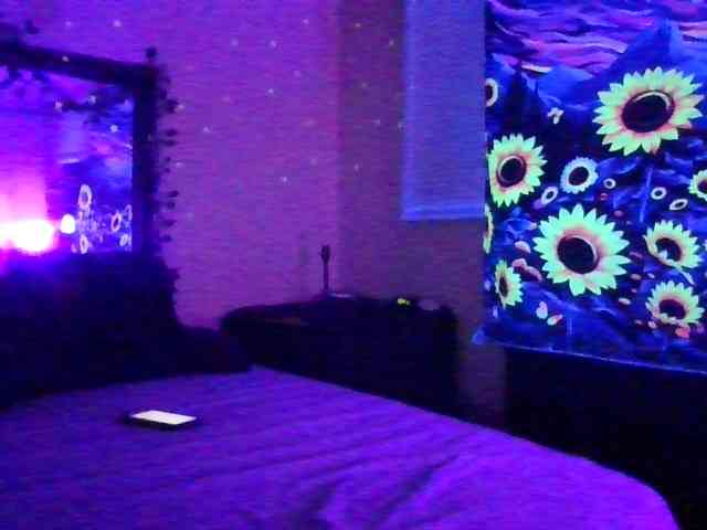 pappymak webcam