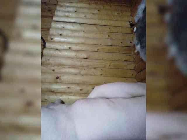 BORZa Live Webcam on BongaCams