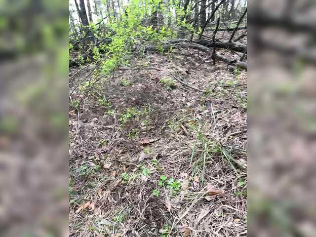 SUN-MOON's BongaCams show and profile