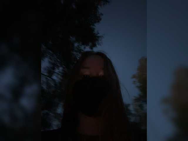 Sun-Moon