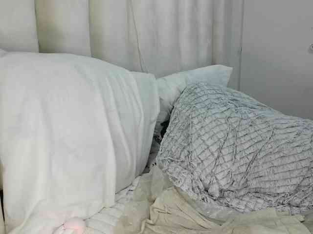 thiquekitten