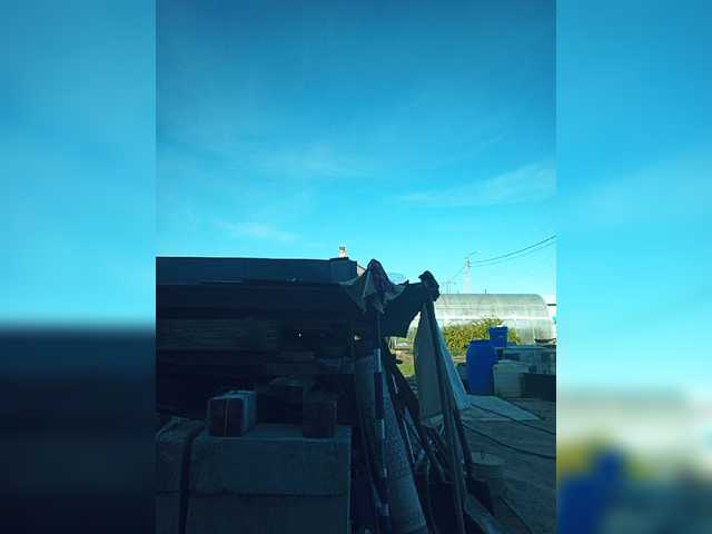 Petryxa1993a