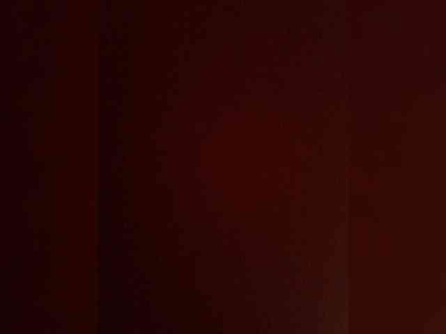 Petryxa1993a