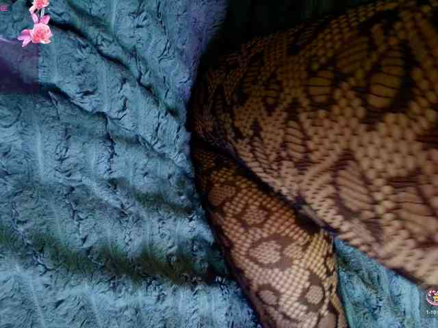 katerine-Monroe webcam