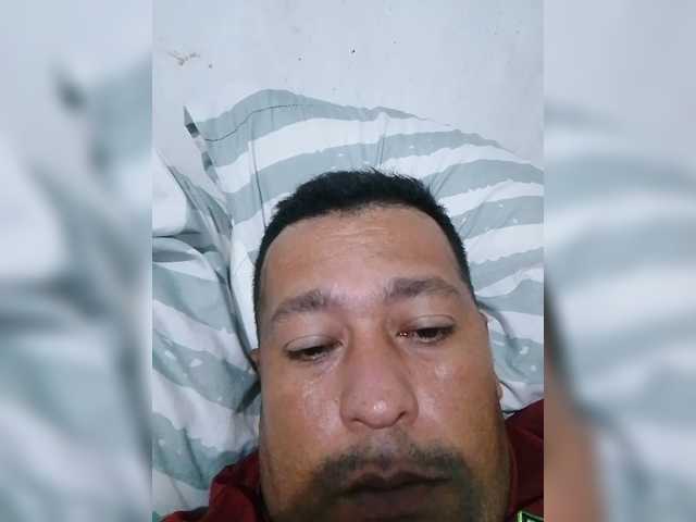 Kary221a