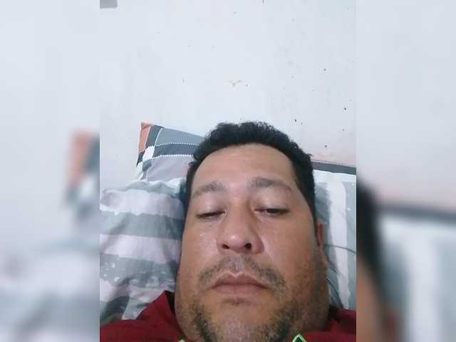 Kary221a