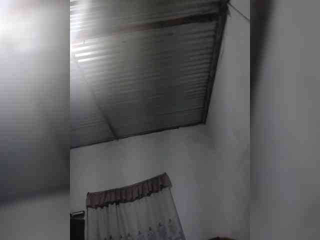 Perra-fresa webcam