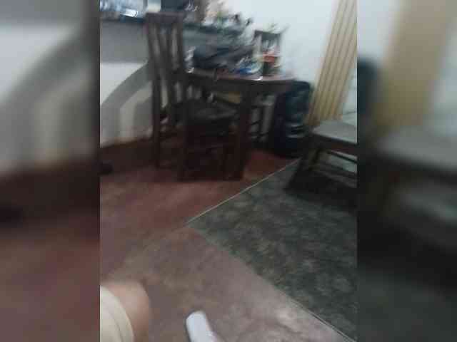Perra-fresa webcam