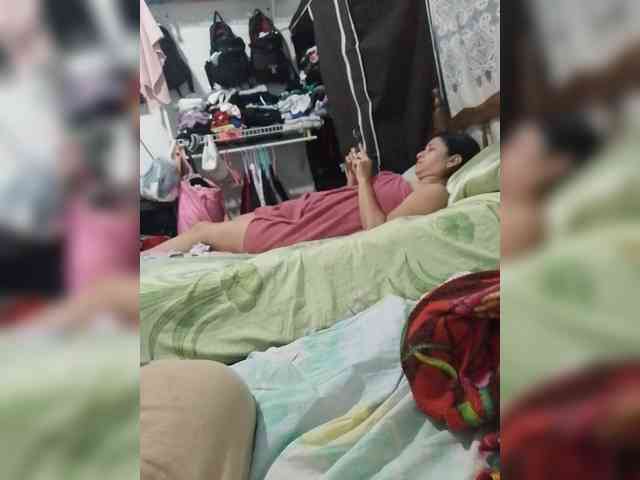 Perra-fresa webcam