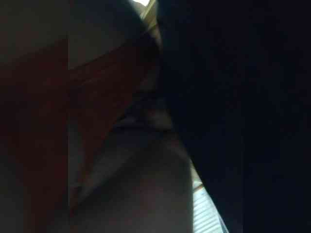 Perra-fresa webcam