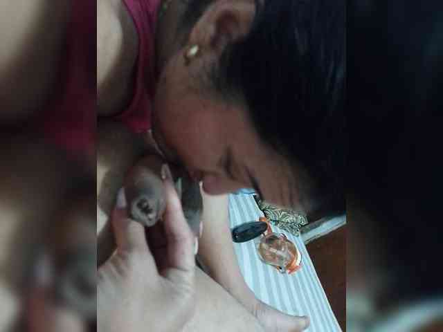 Perra-fresa webcam