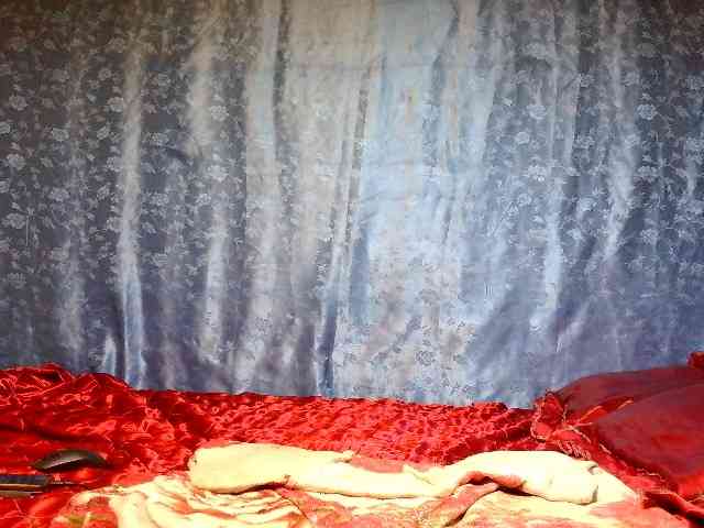 Evalipsievam webcam