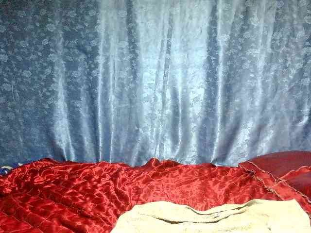 Evalipsievam webcam
